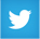 twitter_icon.jpg
